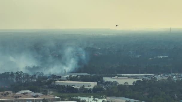 フロリダ州ノースポート市で激しく燃焼する野火を消火する救急ヘリコプター 警察のヘリが炎を森に落とそうとしてる 有毒煙大気汚染 — ストック動画