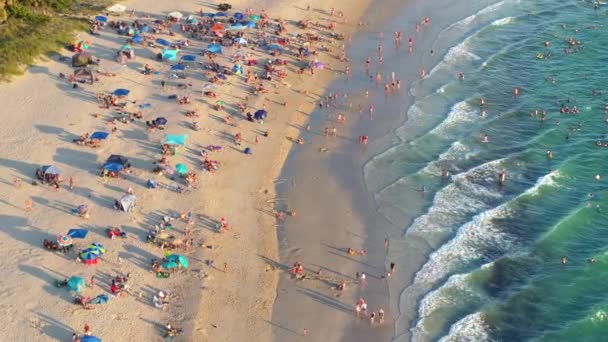 Vista Ángulo Alto Concurrida Playa Nokomis Condado Sarasota Estados Unidos — Vídeos de Stock