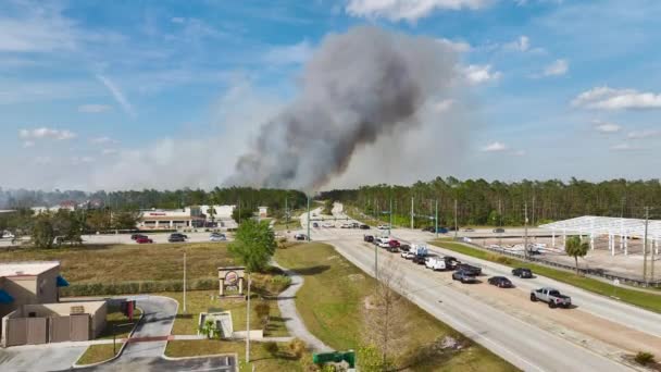フロリダ州ノースポート市で激しく燃えている大きな山火事の上からの眺め 有毒な煙で森林で熱い炎が汚染する大気 — ストック動画
