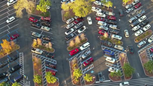 Veel Geparkeerde Auto Winkel Parkeerplaats Met Lijnen Markeringen Voor Parkeerplaatsen — Stockvideo