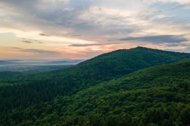 Dağ tepelerini kaplayan koyu ladin ağaçlı yeşil çam ormanlarının havadan görünüşü. Yukarıdan orman manzarası yok.