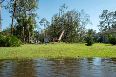 Florida yerleşim bölgesinde kasırga sonrası sokakları sel basmış. Doğal afetin sonuçları..