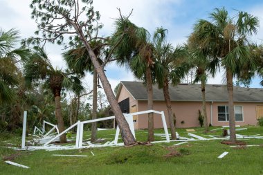 Florida 'da üzerine ağaç enkazı düştükten sonra beyaz PVC bahçe çitlerinde oluşan kasırga hasarı mahvolmuş..