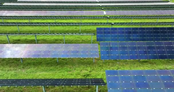 Central Eléctrica Sostenible Con Muchas Filas Paneles Solares Fotovoltaicos Para — Vídeo de stock