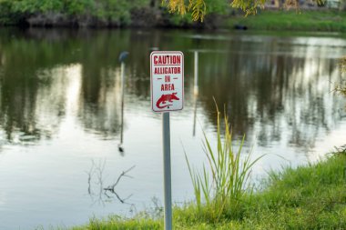 Florida liman parkındaki timsah tehlikesi uyarısı. Su kenarında yürürken dikkat ve güvenlik konusunda..