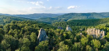 Parlak manzaranın panoramik manzarası. Yazın sık ağaçlar arasında yeşil orman ağaçları ve büyük kayalık kayalar. Vahşi ormanın güzel manzarası.
