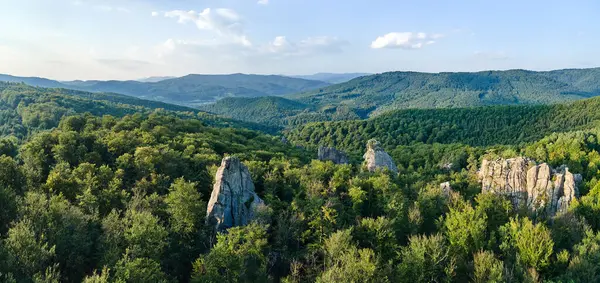 Parlak manzaranın panoramik manzarası. Yazın sık ağaçlar arasında yeşil orman ağaçları ve büyük kayalık kayalar. Vahşi ormanın güzel manzarası.