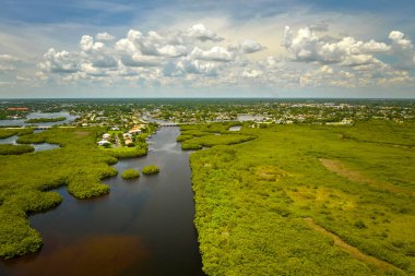 Florida 'nın yukarısından, okyanus suları arasında yeşil bitki örtüsü olan bir yer. Bataklıktaki birçok tropikal türün doğal yaşam alanı.