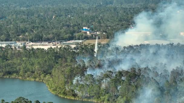 フロリダのジャングルの森で激しく燃える野火を消火する救急ヘリコプター 警察のヘリが炎を森に落とそうとしてる 有毒煙大気汚染 — ストック動画