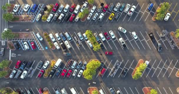 佛罗里达州大型广场上有许多顾客车停放的购物中心停车场 美国消费主义概念 — 图库视频影像