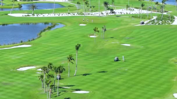 Campo Golf Sul Lungomare Florida Campi Sportivi Con Erba Verde — Video Stock