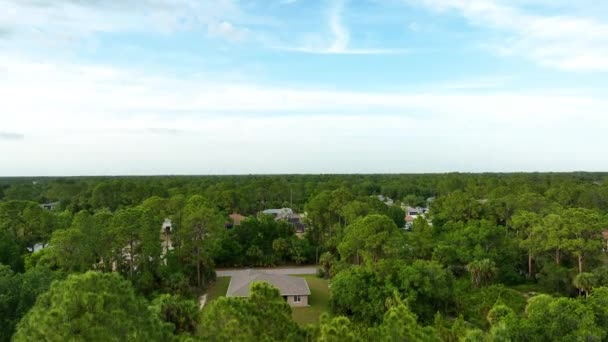 Вид Воздуха Пригородные Частные Дома Между Зелеными Пальмами Флориде — стоковое видео