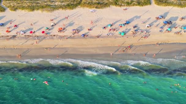 米国サラソータ郡のノカムビーチの空中ビュー 湾岸水で泳ぐ休暇を楽しみ 日没の暖かいフロリダの日差しでリラックスする多くの人々 — ストック動画