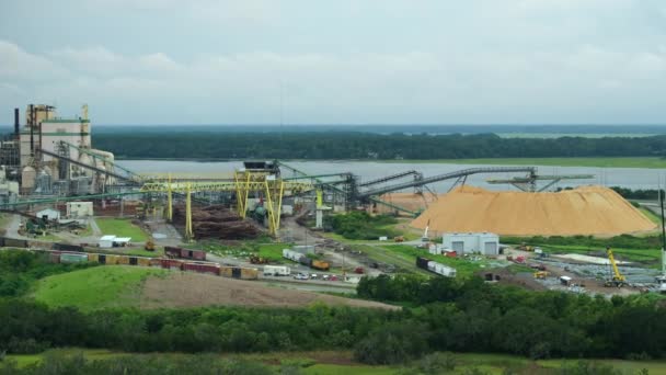 布伦斯维克Ga的纤维素和造纸厂 制造业对环境的有害影响 — 图库视频影像