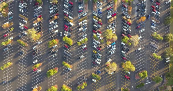Parking Centre Commercial Avec Nombreuses Voitures Clients Garées Sur Grande — Video