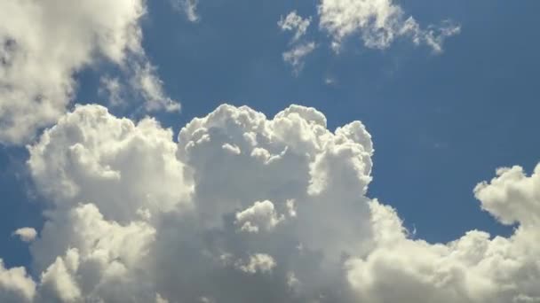 Временной Отрезок Белых Пушистых Кучевых Облаков Образующихся Летнем Голубом Небе — стоковое видео