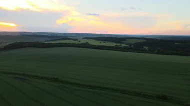 Yaz mevsiminde ekinlerin yetiştiği yeşil tarım arazileri. Tarım ekili tarla. Tarım ve tarım endüstrisi.