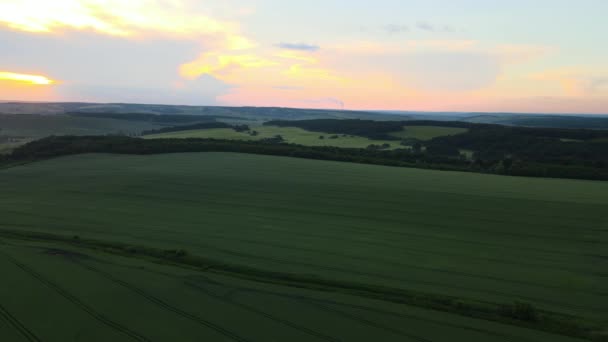 Krajobraz Powietrzny Zielonych Użytków Rolnych Sezonie Letnim Uprawami Rolnicze Pole — Wideo stockowe