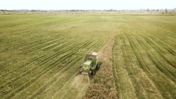 수확하는 수확꾼 공중에서 수있습니다 Agriculture Drone View — 비디오