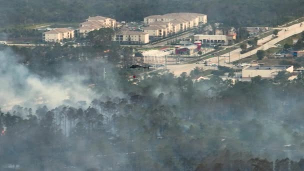Aerial View Fire Department Helicopter Extinguishing Wildfire Burning Severely Florida — Stock Video
