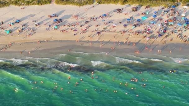 米国サラソータ郡の混雑したノカムビーチの高角度ビュー 多くの人が海水で泳ぎ 日没時に暖かいフロリダの日差しでリラックスして休暇を楽しんでいます — ストック動画