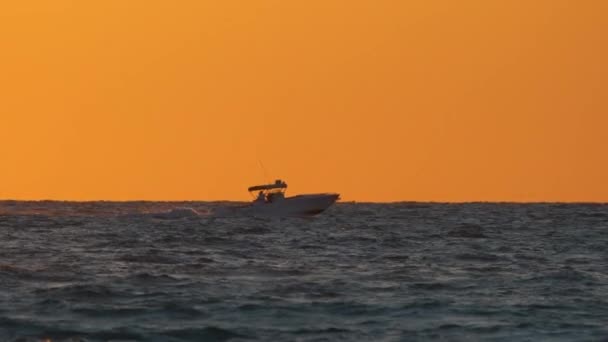 Speedboat Κολύμπι Γρήγορα Στη Θάλασσα Κύματα Επιφάνεια Κυματισμός Μηχανοκίνητο Σκάφος — Αρχείο Βίντεο