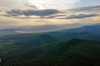 Dağ tepelerini kaplayan koyu ladin ağaçlı yeşil çam ormanlarının havadan görünüşü. Yukarıdan orman manzarası yok.