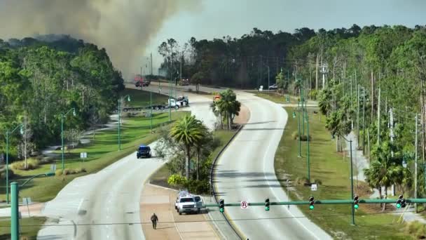 フロリダのジャングルの森で野火を消火する緊急サービス消防車 消防車は火を森の中に置こうとする 有毒煙大気汚染 — ストック動画