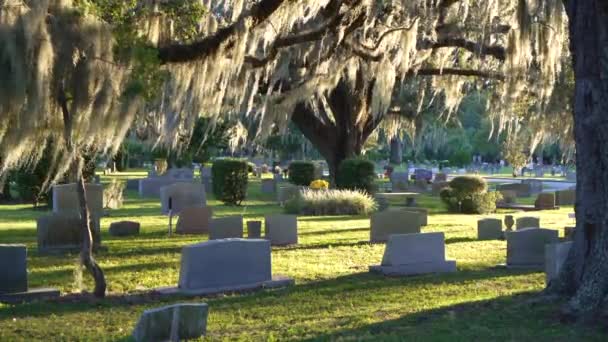 フロリダ州オーランドの緑の草の上の南オークの木陰の古い墓地に墓石 デスコンセプト — ストック動画
