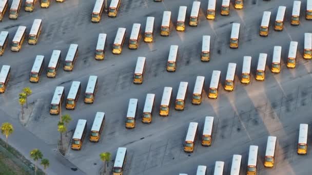 许多校车停在美国的县停车场上 美国教育系统的交通 — 图库视频影像