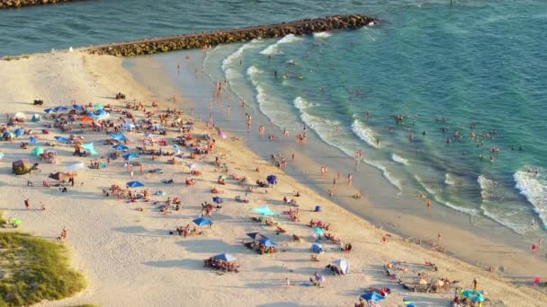 Nokomis Florida Playa Llena Gente Condado Sarasota Estados Unidos Muchas — Vídeo de stock