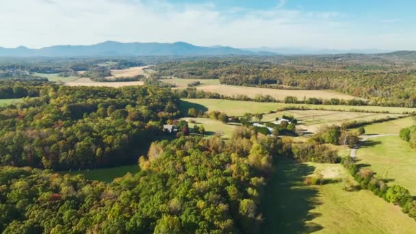 Kuzey Carolina Kırsalında Appalachian Dağlarına Yakın Çiftlik Arazileri Sık Ormanlarla — Stok video