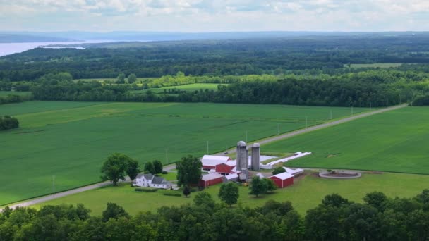 Rural Agricultural Farm Barn Silos Green Farmlands Midwestern Usa American — Stock Video