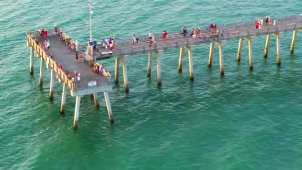 Venedig Florida Folk Njuter Semestern Fiskebryggan Sommaraktiviteter Vid Havet Frisk — Stockvideo
