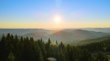 Vahşi dağ ormanlarında gün batımı manzarası inanılmazdır. Parlak batan güneşle aydınlatılmış karanlık çam ağaçları. Güzel doğa manzarası.