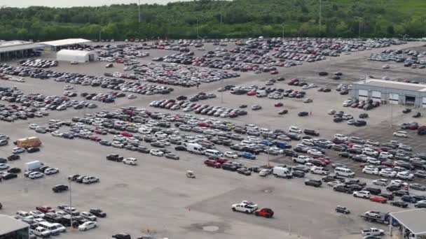 オークションディーラー会社 駐車場付きの大きな駐車場 再販サービスの準備ができています 中古車の販売 — ストック動画