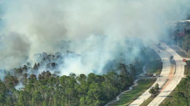 Florida ormanlarında yangın söndüren itfaiye araçları. İtfaiye araçları ormanda yangın çıkarmaya çalışıyor. Zehirli duman kirletici atmosfer.