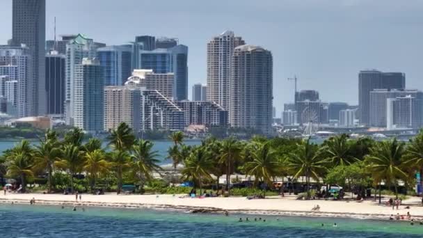 Hobie Island Beach Virginia Key Het Kantoordistrict Miami Brickell Florida — Stockvideo