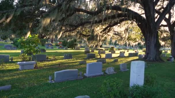 フロリダ州オーランドの緑の草の上の南オークの木の下の墓石の列を持つ古いアメリカの墓地 — ストック動画