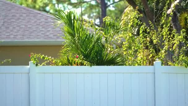 Privacy Fence Surrounding Private Property Grounds Backyard Protection Southern Florida — Stock Video