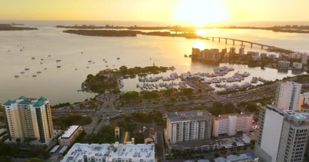 Sarasota Bay Marina Con Yates Lujo Arquitectura Ciudad Florida Atardecer — Vídeos de Stock