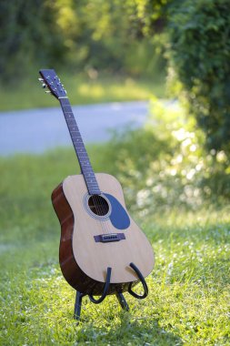 Acoustic guitar outdoors on greenery background. Concept of calm music.