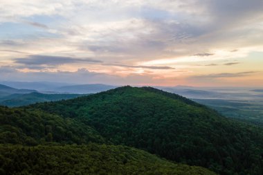 Gün batımında dağ tepelerini kaplayan koyu ladin ağaçlı yeşil çam ormanlarının hava manzarası. Yukarıdan orman manzarası yok.