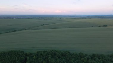 Yaz mevsiminde ekinlerin yetiştiği yeşil tarım arazileri. Tarım ekili tarla. Tarım ve tarım endüstrisi.