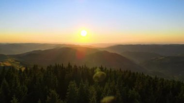 İnanılmaz bir dağ manzarası. Vahşi Ulusal Park Dağları 'nda parlak renkli gün batımı. Sarı batan güneşle aydınlatılmış koyu ladin ormanları..