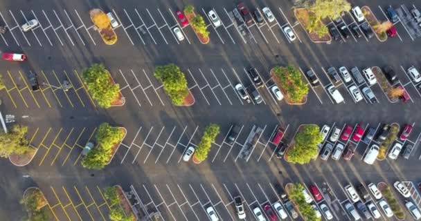 Αυτοκίνητα Σταθμευμένα Στο Πάρκινγκ Μπροστά Από Ένα Μανάβικο — Αρχείο Βίντεο