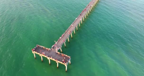 Les Gens Profitant Vacances Sur Jetée Pêche Venise Floride Activités — Video