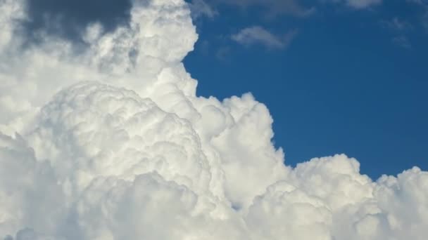 Яскравий Пейзаж Блакитного Неба Літаючими Білими Хмарами Барвистий Літній Пейзаж — стокове відео
