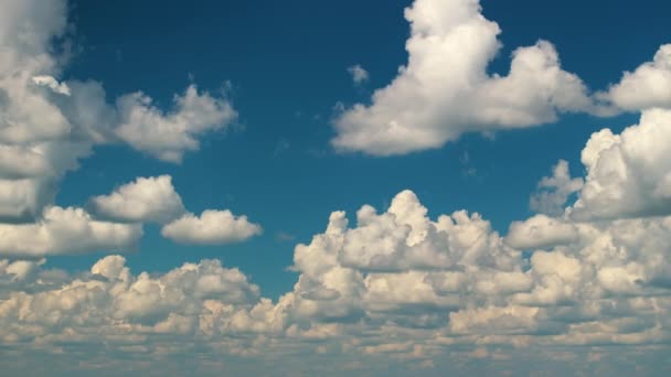 Regenwolken Bilden Sich Blauen Himmel Floridas Bunte Sommerhimmel — Stockvideo