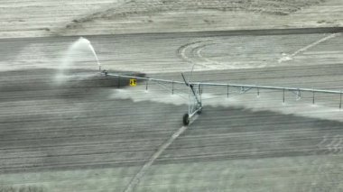 Sprinkler irrigation system watering farm field during dry season. Spraying water on farmland ground for crop growth during period of drought.